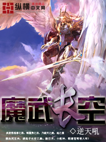 魔武长空